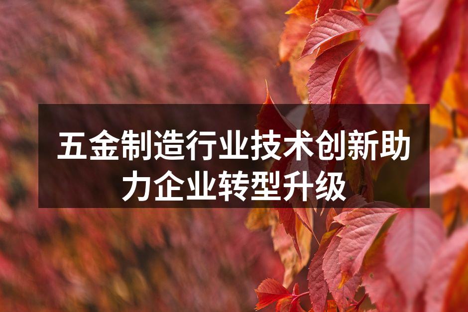 五金制造设备升级现场